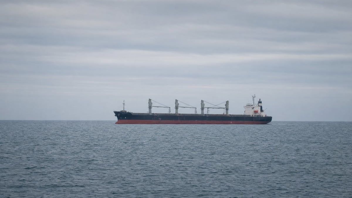 Drones Sink Cargo Ship in Bulgaria's Black Sea Zone, Bringing Russia's War to NATO Waters