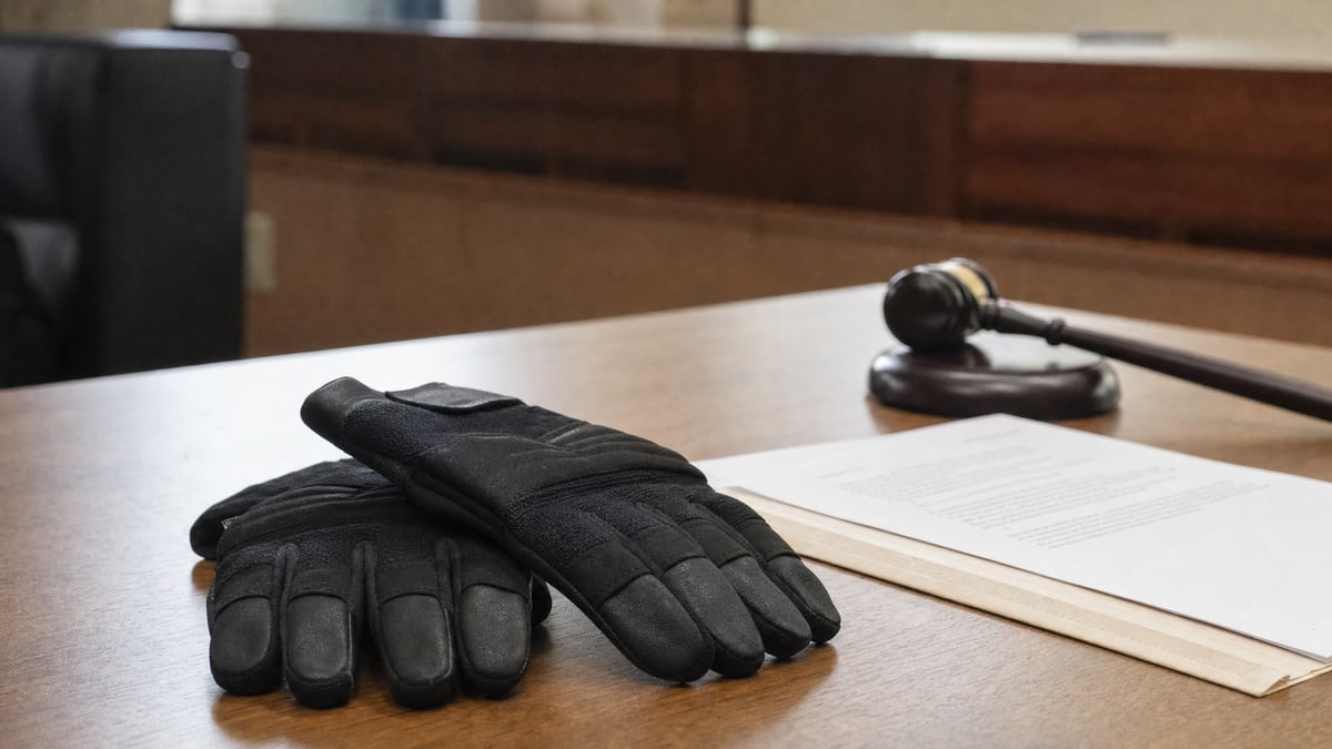 California Bans Shock Gloves Weeks After ICE Moves to Equip Its Officers